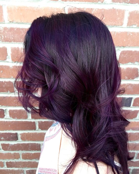 Dark Purple Hair Color for Long Hair