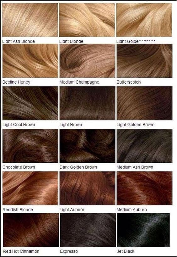 color hairstyle ideas for brunettes