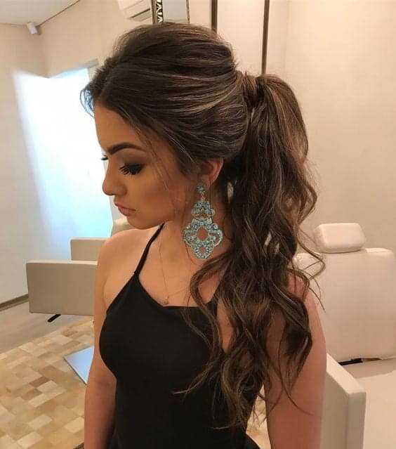 Brunette hairstyle ion ponytail !