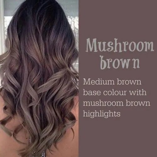 Mushroom Brown Hair Color